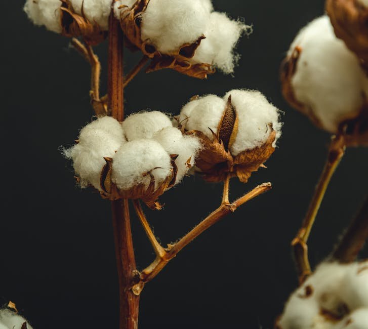 عصابة سوبر ناعمة للملابس الحساسة